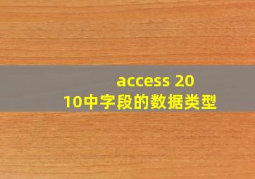 access 2010中字段的数据类型